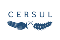 cersul.pt