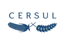 cersul.pt